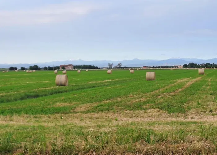 Ducato E דירה San Polo (Parma)